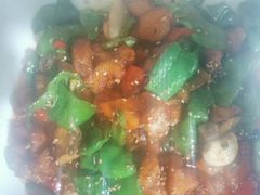 -煲来饱去冷水鱼