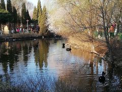 -长白岛森林公园