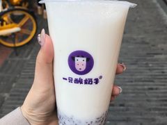 -一只酸奶牛(奎星楼店)