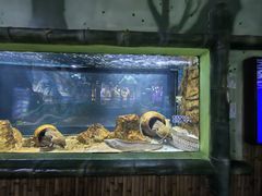 -顺德南宏海立方海洋公园