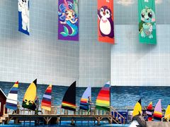 -海合安天津极地海洋公园