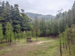 -广州市帽峰山景区