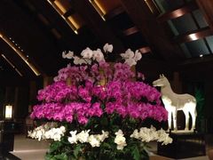 iphone_upload_pic-三亚湾海居铂尔曼度假酒店