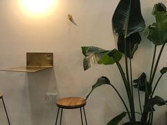 -常识咖啡common sense(春熙路店)
