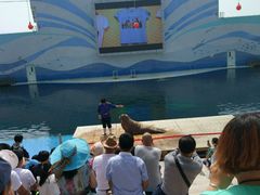 -北戴河圣蓝海洋公园