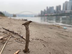 -重庆市江北嘴中央商务区中央公园