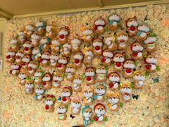 -柴犬高等学院·狗咖·柴犬售卖·宠物训练