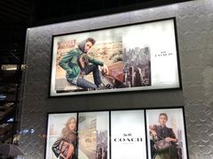 -COACH蔻驰(顺城购物中心店)