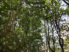 -西安石油大学(雁塔校区)