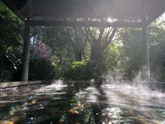 -和顺柏联温泉