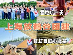 -上海山野camping·户外天幕烧烤·团建拓展营地