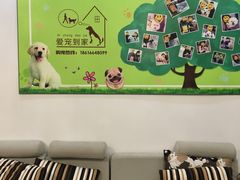 -翊宠yipet猫狗购宠庄园犬舍•猫舍