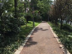 -美兰湖景区