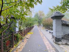 -桃花堤公园