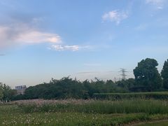 -九里河湿地公园