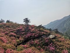 -木兰云雾山