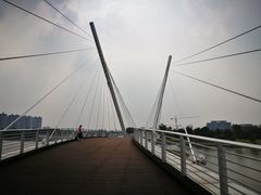 -映月湖中央公园
