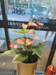 -木北护肤造型