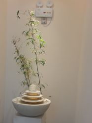 -悦色嘉丽科技美肤健康管理