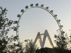 -金鸡湖景区