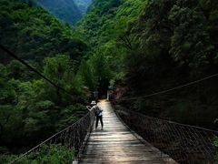 -黑河国家森林公园