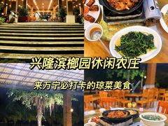 -兴隆槟榔园休闲农庄