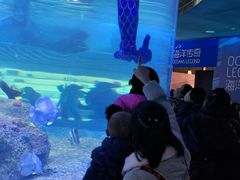 -沙沙哗啦海洋馆(华宇百花谷店)
