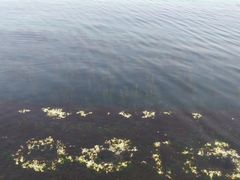 -那香海钻石沙滩浴场