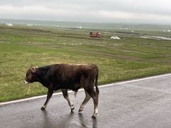 -新疆那拉提国家旅游度假区
