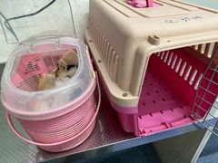 -天津前进宠物医院(前进道店)