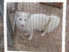 -武汉紫薇都市田园