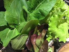 活体蔬菜组合-左庭右院鲜牛肉火锅(新梅广场店)