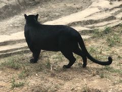 -杭州野生动物世界