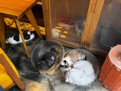 -鲁邦国际风情街(麦世达韩国精品百货店)