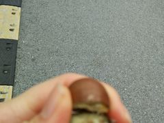 -阿男野栗王(金门路店)