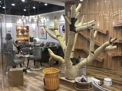-袖虎·猫馆(体育西路店)