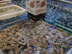 -盒马X会员店(王府井奥莱UP TOWN店)