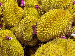 -AEON永旺(东方宝泰店)