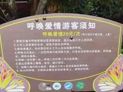 -蝴蝶泉公园