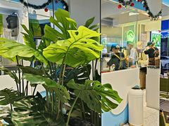 -吴山山·椰子酸奶(天河南店)