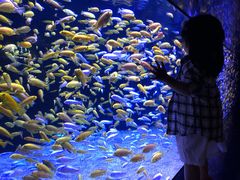 -成都浩海立方海洋公园