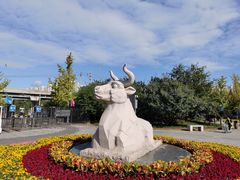 -永定河休闲森林公园