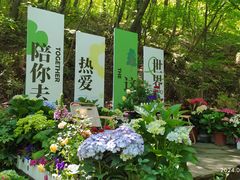 -丹东凤凰山景区