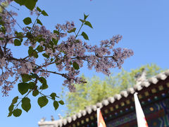 -满都海公园