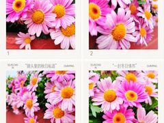 -百伦百货(简阳店)