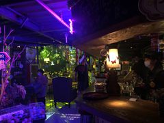 -胡桃里音乐酒馆(石家庄店)