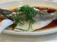 -清心鸡沙田乳鸽店·非遗传承(粤垦路店)