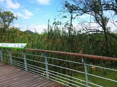 -西湖风景区-江洋畈生态公园