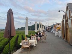 -龙坞茶村