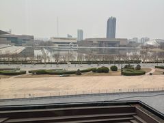 -羲和雅苑•北京烤鸭(乐园道万象城店)